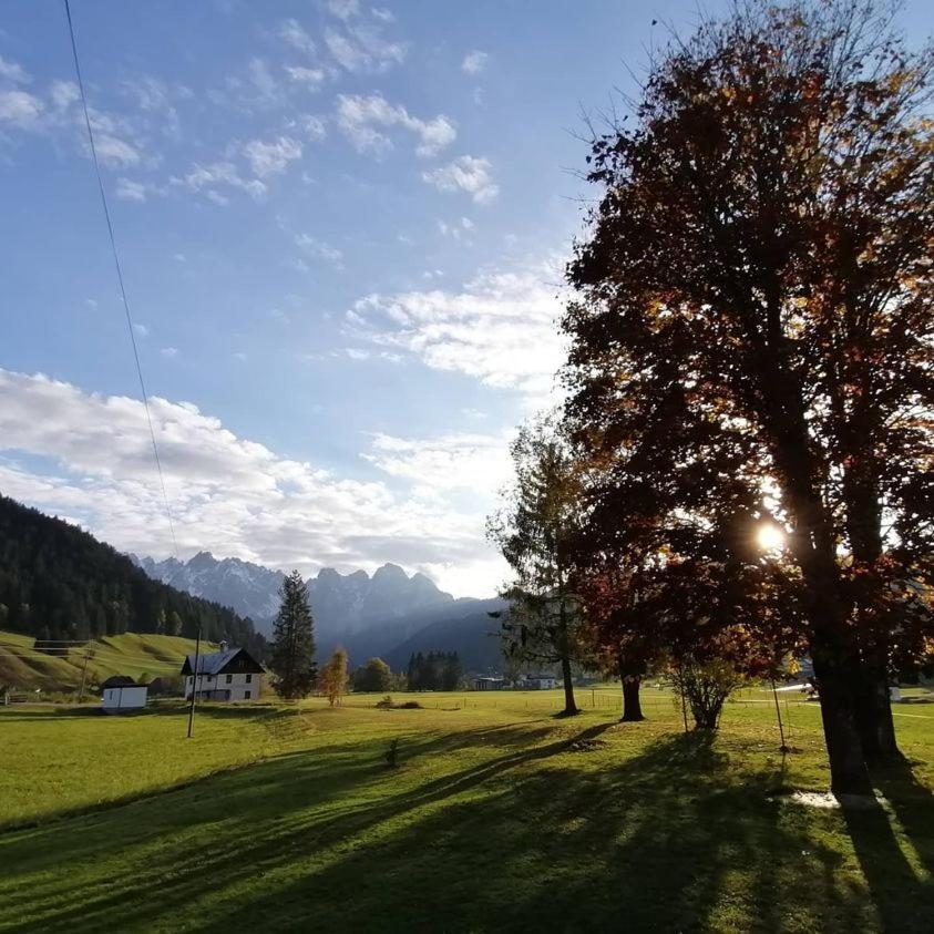 Haus Gruenwald Leilighet Gosau Eksteriør bilde